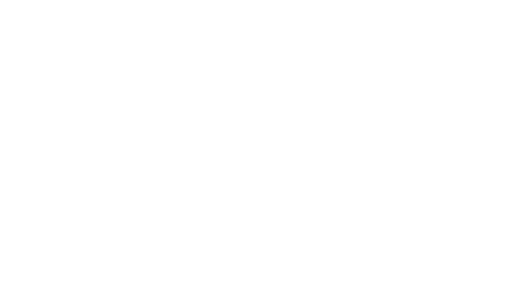 logo2